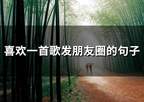 喜欢一首歌发朋友圈的句子(54句)