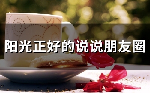 阳光正好的说说朋友圈(39句) 阳光正好的说说朋友圈(39句)