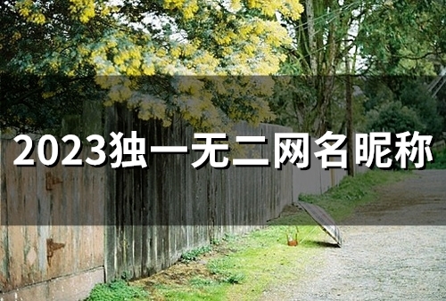 2023独一无二网名昵称(精选46个)