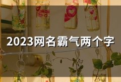 2023网名霸气两个字(精选54个)