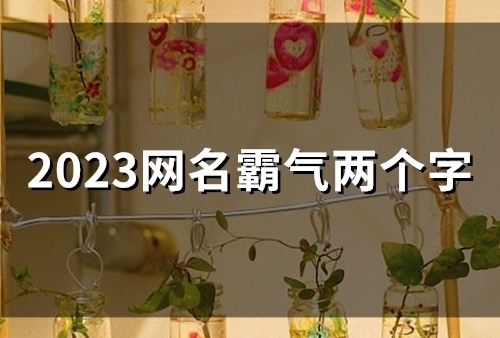 2023网名霸气两个字(精选54个)