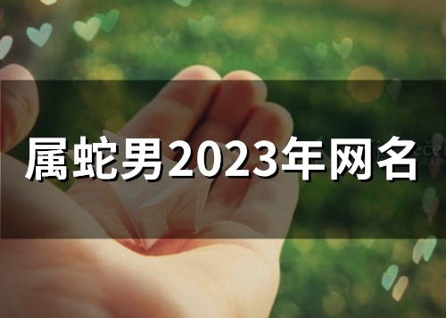 属蛇男2023年网名(53个)