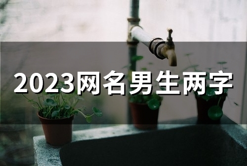 2023网名男生两字(53个)