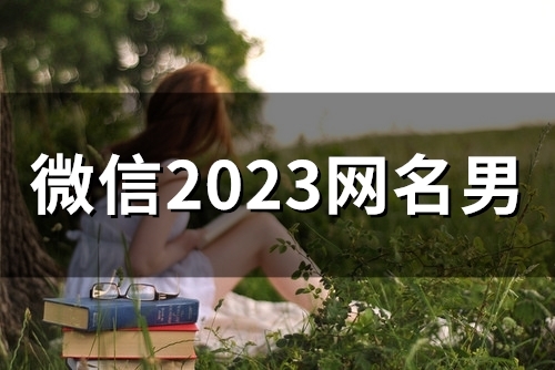 微信2023网名男(52个)