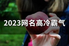 2023网名高冷霸气(精选55个)