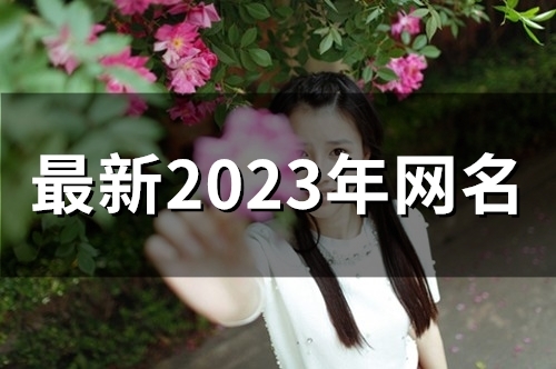 最新2023年网名(精选56个)