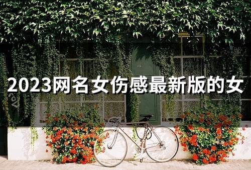 2023网名女伤感最新版的女(精选58个)