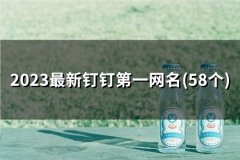 2023最新钉钉第一网名(精选60个)