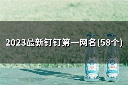 2023最新钉钉第一网名(精选60个)