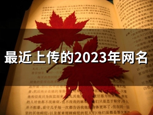 最近上传的2023年网名(精选55个)