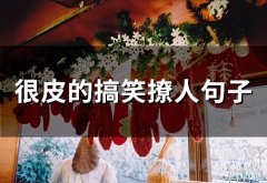 很皮的搞笑撩人句子(精选60句)