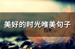 美好的时光唯美句子(精选46句)