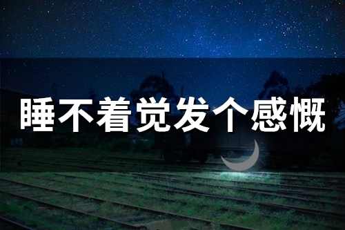 睡不着觉发个感慨(精选57句)
