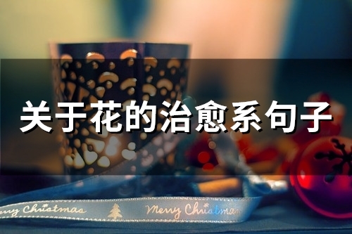 关于花的治愈系句子(54句) 关于花的治愈系句子(54句)