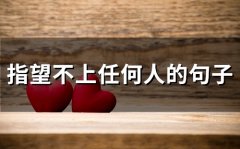 指望不上任何人的句子(53句)