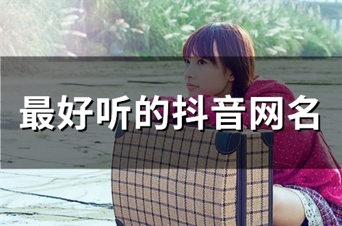 最好听的抖音网名(53个)