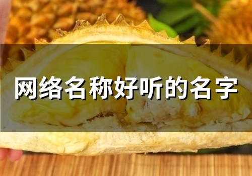 网络名称好听的名字(精选47个) 网络名称好听的名字(精选47个)