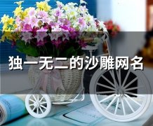 独一无二的沙雕网名(精选52个)