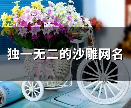 独一无二的沙雕网名(精选52个)