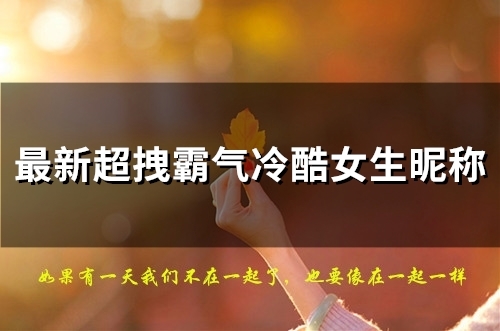 最新超拽霸气冷酷女生昵称(56个)