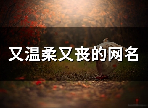 又温柔又丧的网名(55个) 又温柔又丧的网名(55个)