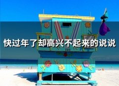 快过年了却高兴不起来的说说(54句)