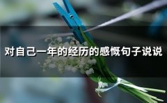 对自己一年的经历的感慨句子说说(54句)