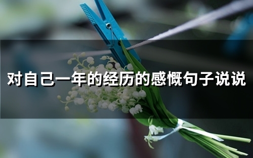 对自己一年的经历的感慨句子说说(54句)