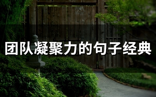 团队凝聚力的句子经典(精选41句)