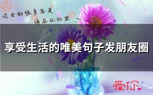 享受生活的唯美句子发朋友圈(精选33句)