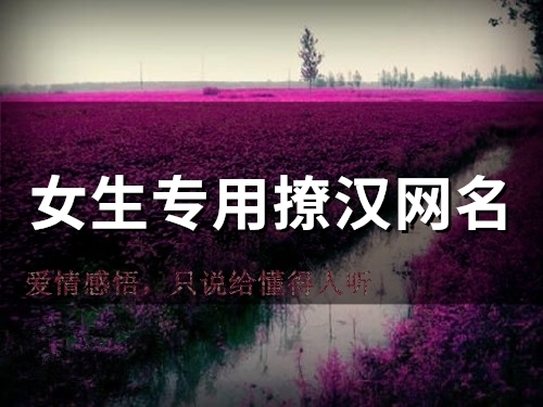 女生专用撩汉网名(51个)