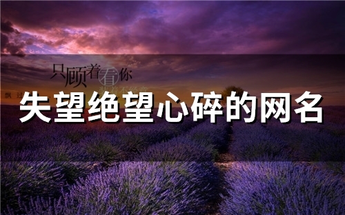 失望绝望心碎的网名(精选59个)