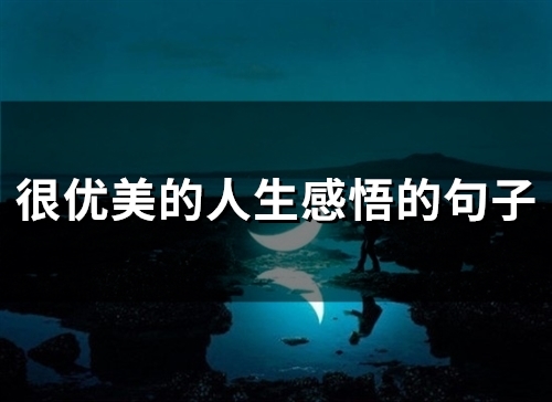 很优美的人生感悟的句子(54句) 很优美的人生感悟的句子(54句)
