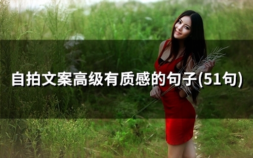 自拍文案高级有质感的句子(精选51句)