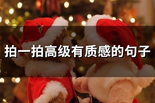 拍一拍高级有质感的句子(精选55句)