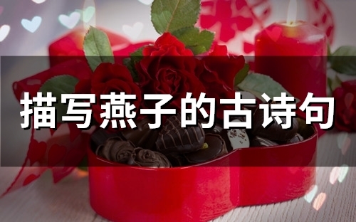 描写燕子的古诗句(精选49句)