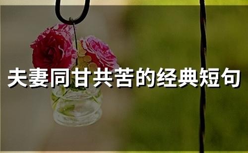 夫妻同甘共苦的经典短句(40句)