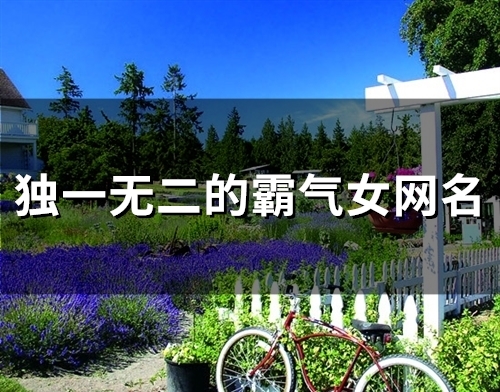 独一无二的霸气女网名(56个) 独一无二的霸气女网名(56个)