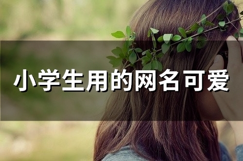 小学生用的网名可爱(精选50个)