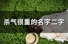 杀气很重的名字二字(精选56个)