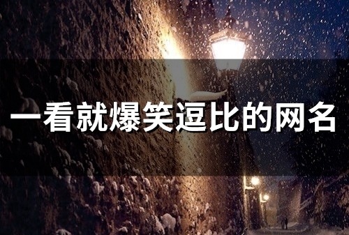 一看就爆笑逗比的网名(51个) 一看就爆笑逗比的网名(51个)