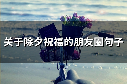 关于除夕祝福的朋友圈句子(精选47句)