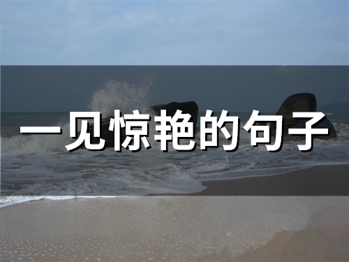 一见惊艳的句子(49句)