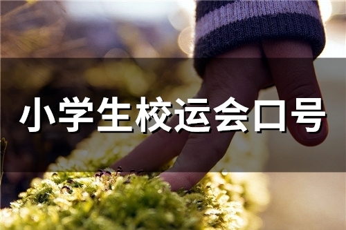 小学生校运会口号(57句) 小学生校运会口号(57句)