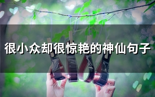 很小众却很惊艳的神仙句子(48句) 很小众却很惊艳的神仙句子(48句)