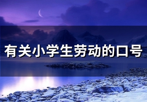 有关小学生劳动的口号(精选45句)