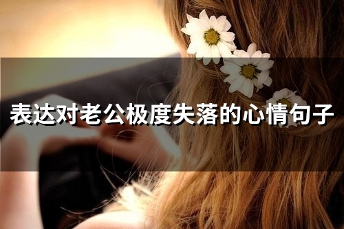 表达对老公极度失落的心情句子(精选33句)