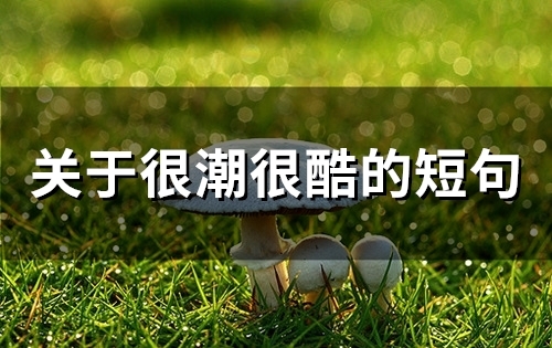 关于很潮很酷的短句(50句) 关于很潮很酷的短句(50句)