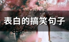 表白的搞笑句子(精选40句)