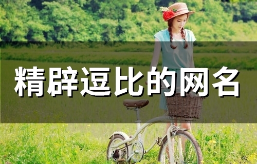 精辟逗比的网名(精选58个) 精辟逗比的网名(精选58个)